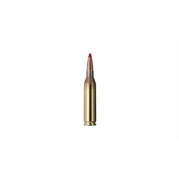 Karabinski metak GECO 243 WIN EXPRESS 4.9g/75gr-6044