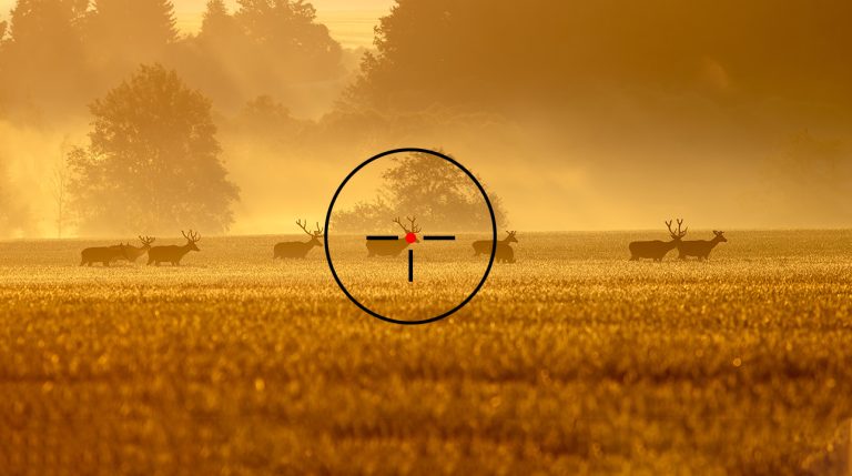 Red dot optike