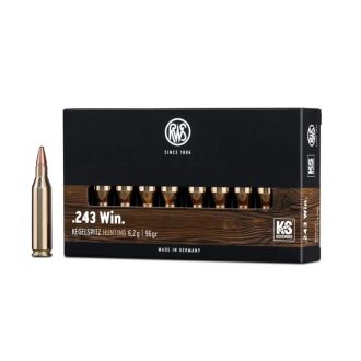 Karabinski metak RWS 243 WIN KS 6.2g/96gr-6017