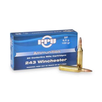 Karabinski Metak PPU 243 WINČESTER-00302